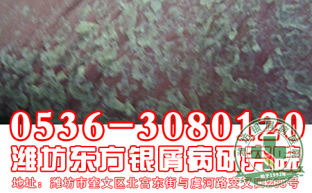 知道了以下危害你还会对牛皮癣放任不管吗?